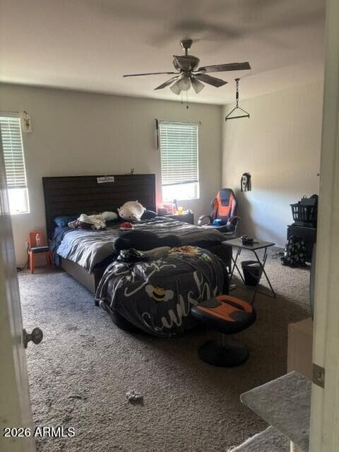 3119 N 303RD Drive, Buckeye, AZ 85396 — photo 10 of 12