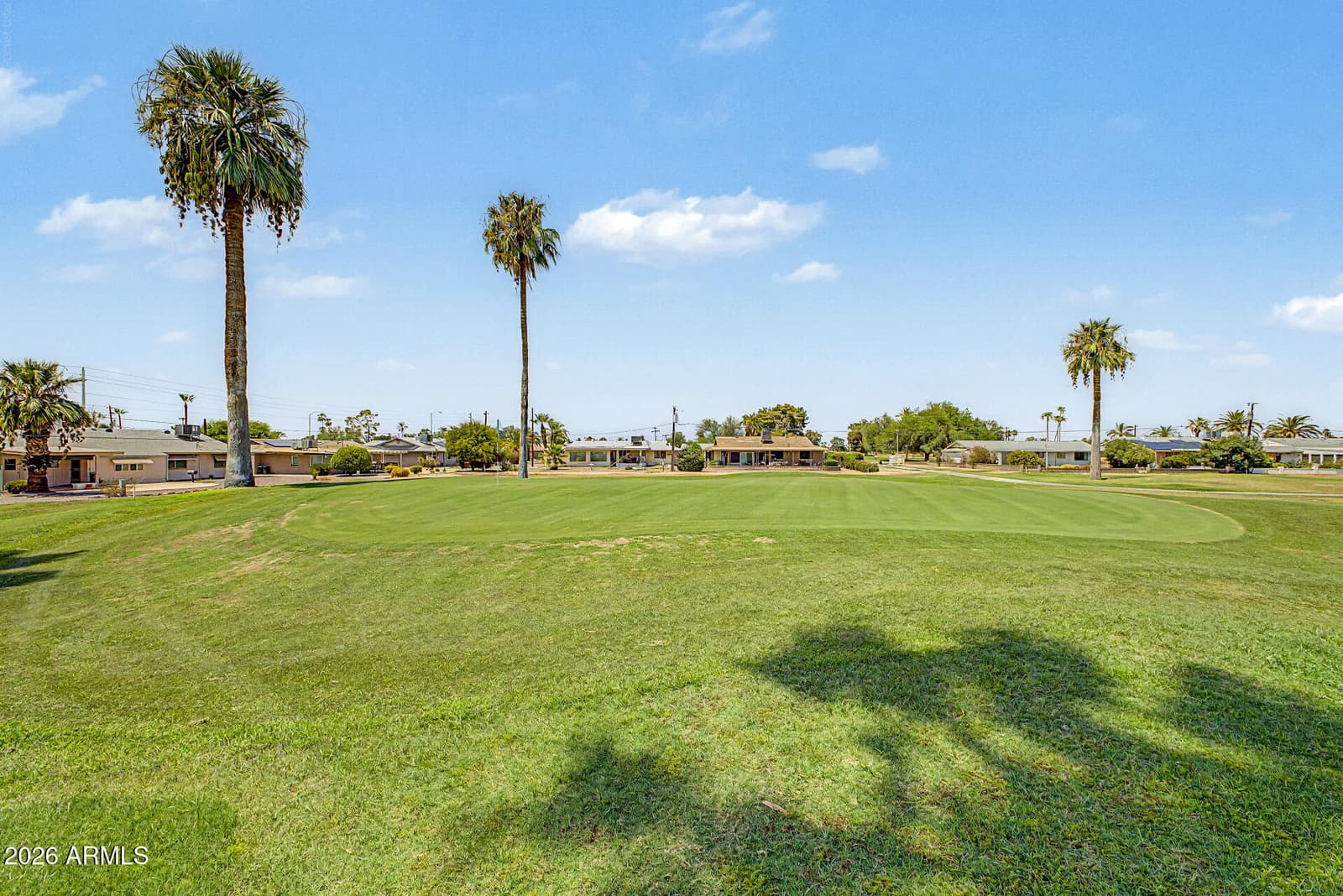 10262 W SNEAD Circle N, Sun City, AZ 85351 — photo 41 of 62