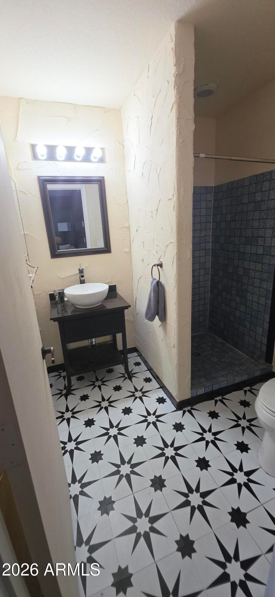 13423 W IRONWOOD Street, Surprise, AZ 85374 — photo 12 of 23