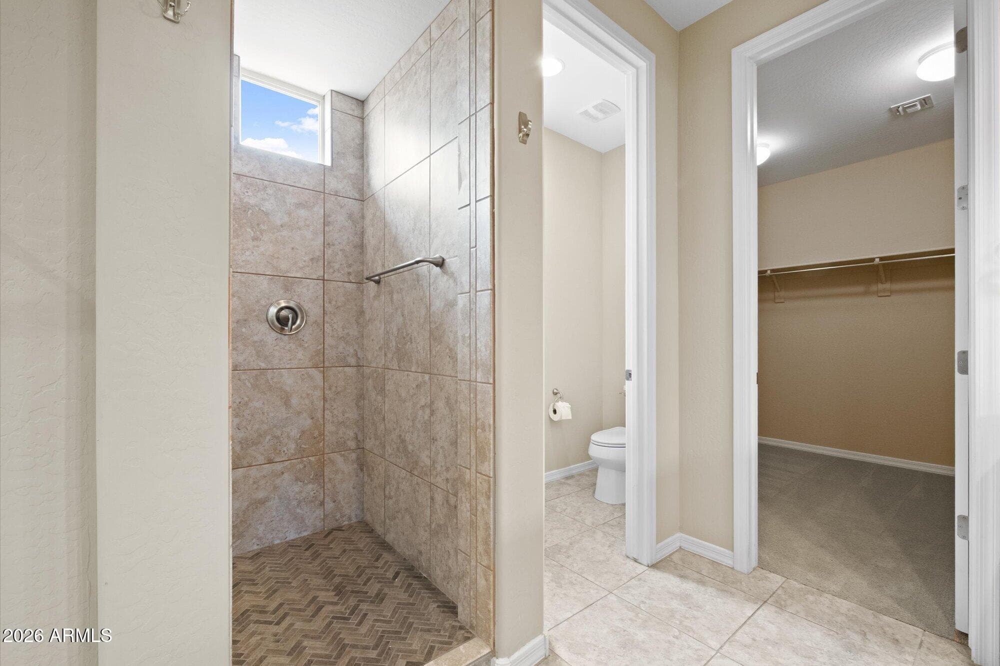 21359 N 260TH Drive, Buckeye, AZ 85396 — photo 14 of 33