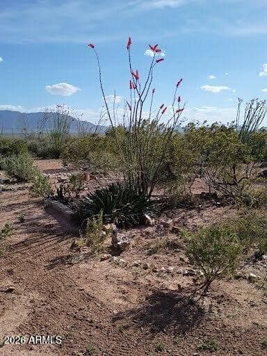 3644 W VISTA DEL VIEJO, Bisbee, AZ 85603 — photo 56 of 61