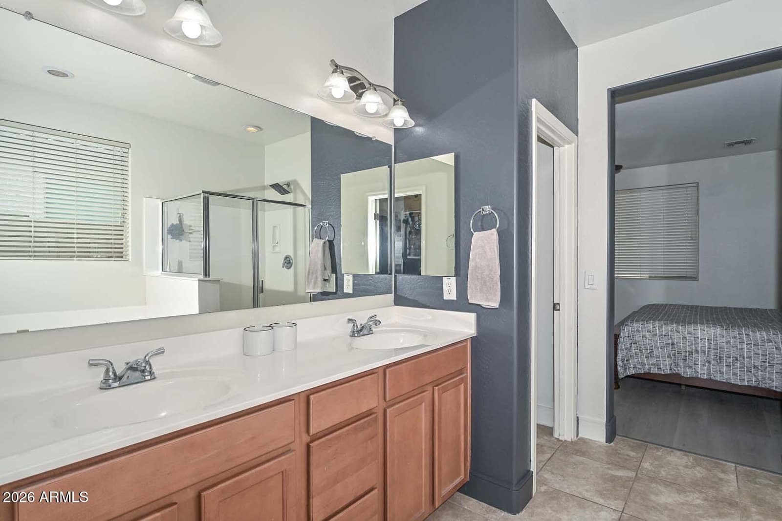 10218 W LEVI Drive, Tolleson, AZ 85353 — photo 18 of 30