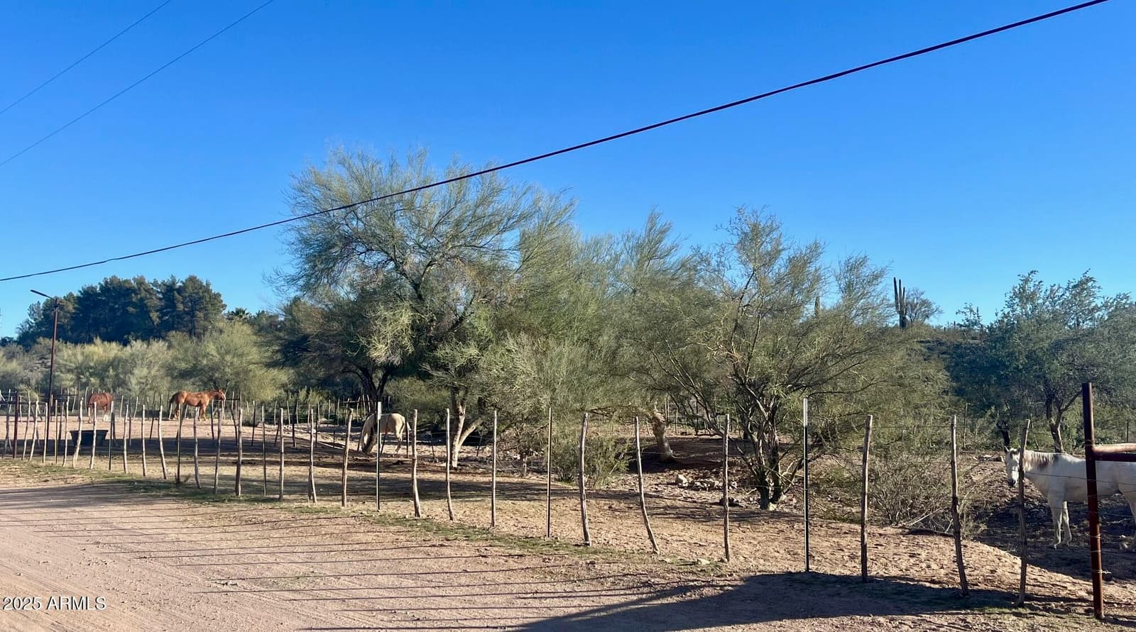42710 W Highway 60, Morristown, AZ 85342 — photo 35 of 39