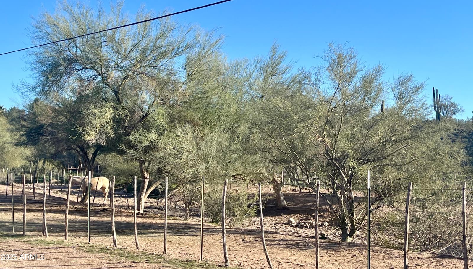 42710 W Highway 60, Morristown, AZ 85342 — photo 36 of 39