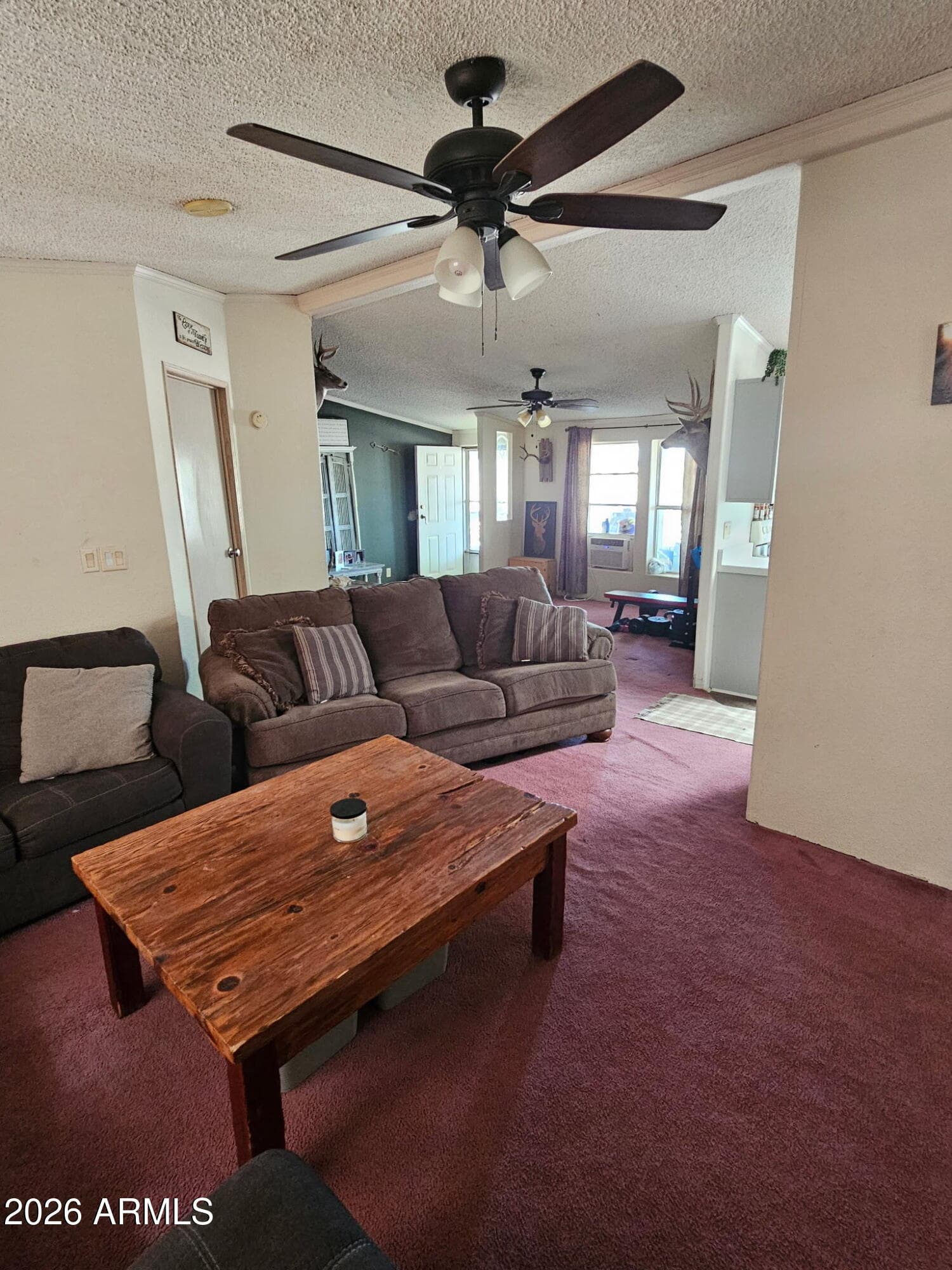 10194 N MORMON Road, Elfrida, AZ 85610 — photo 19 of 49