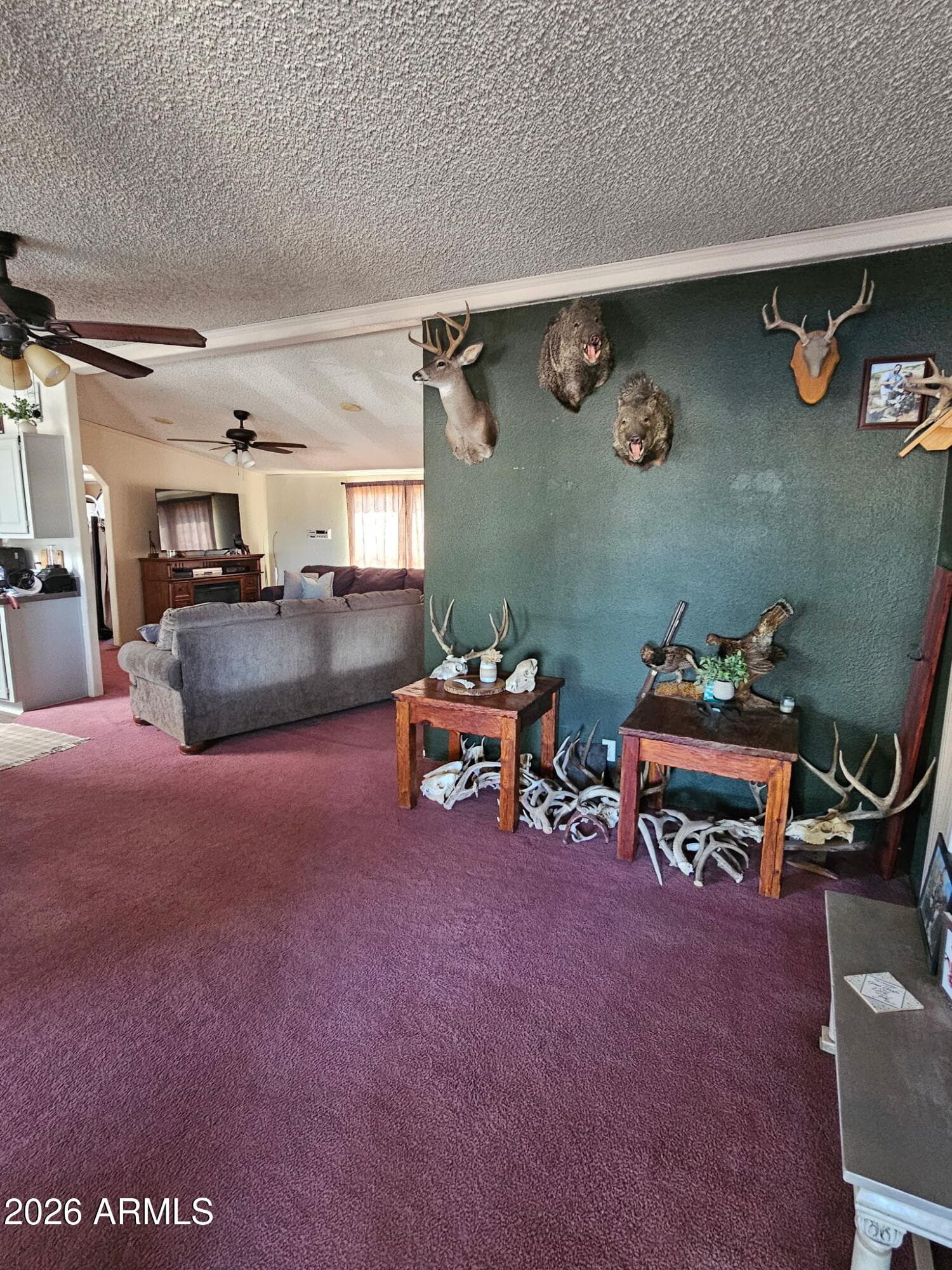 10194 N MORMON Road, Elfrida, AZ 85610 — photo 12 of 49