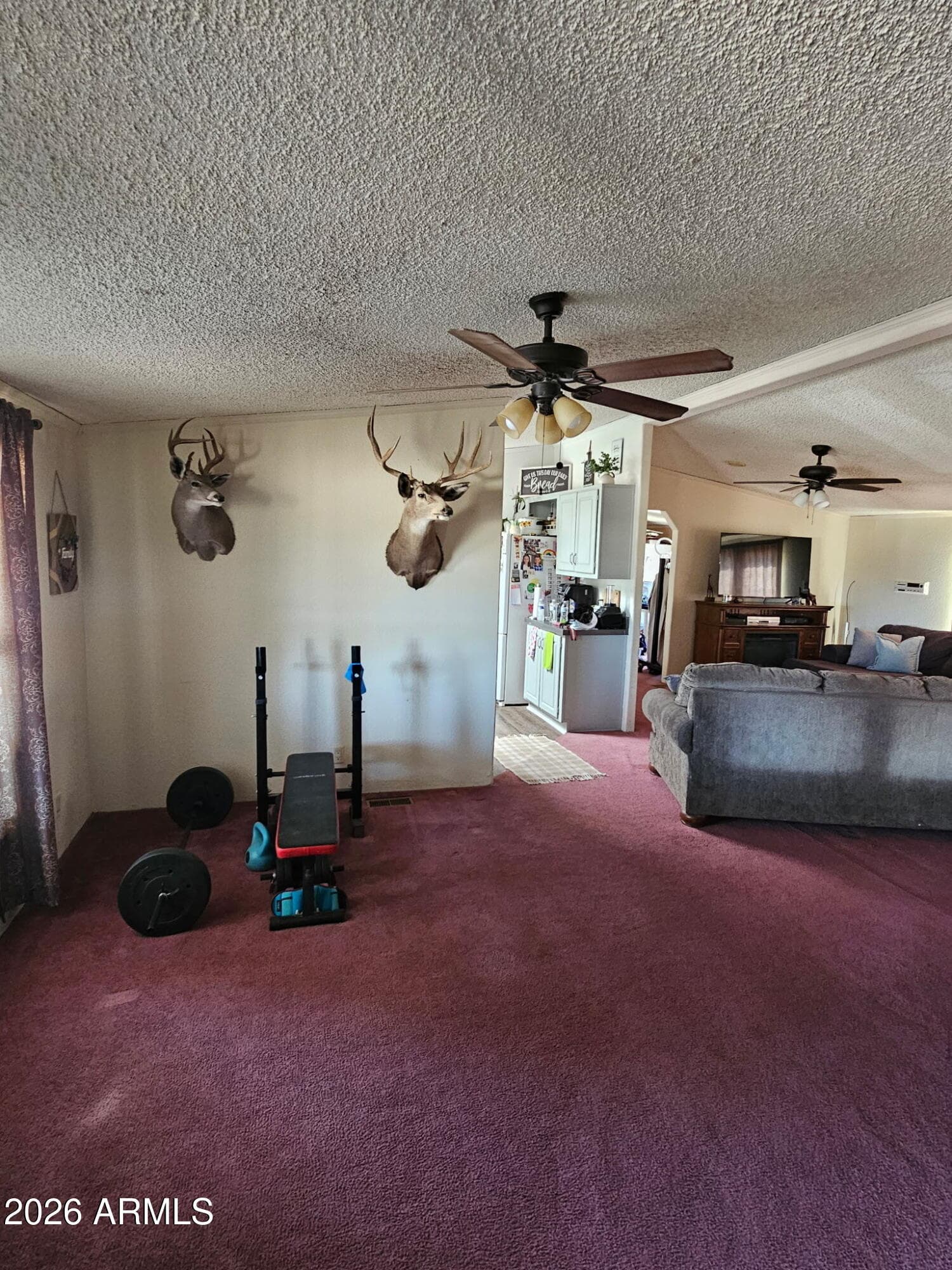 10194 N MORMON Road, Elfrida, AZ 85610 — photo 15 of 49