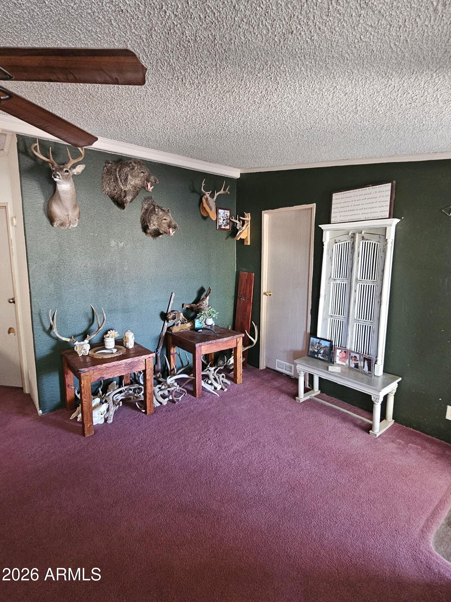 10194 N MORMON Road, Elfrida, AZ 85610 — photo 16 of 49