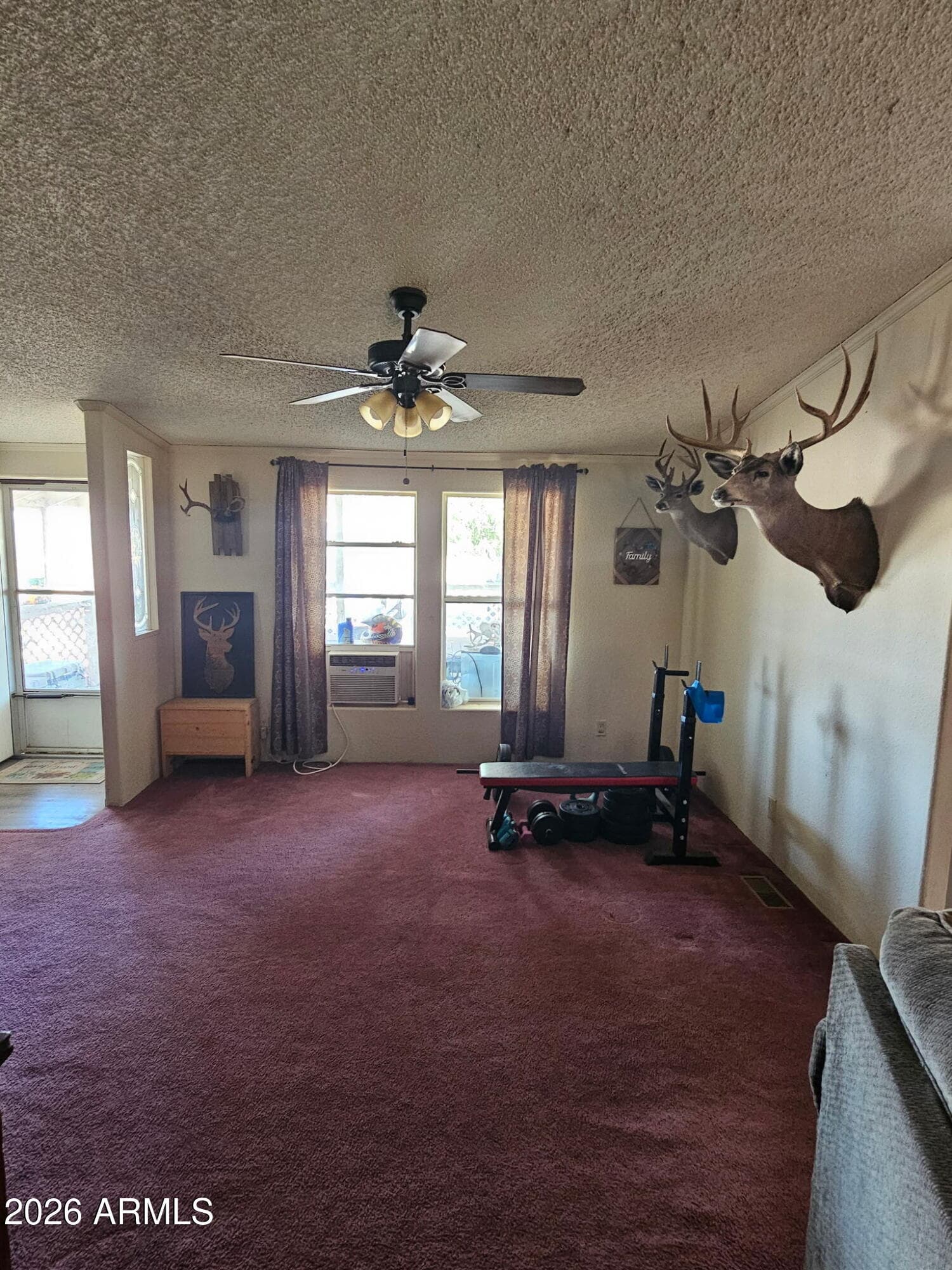 10194 N MORMON Road, Elfrida, AZ 85610 — photo 14 of 49
