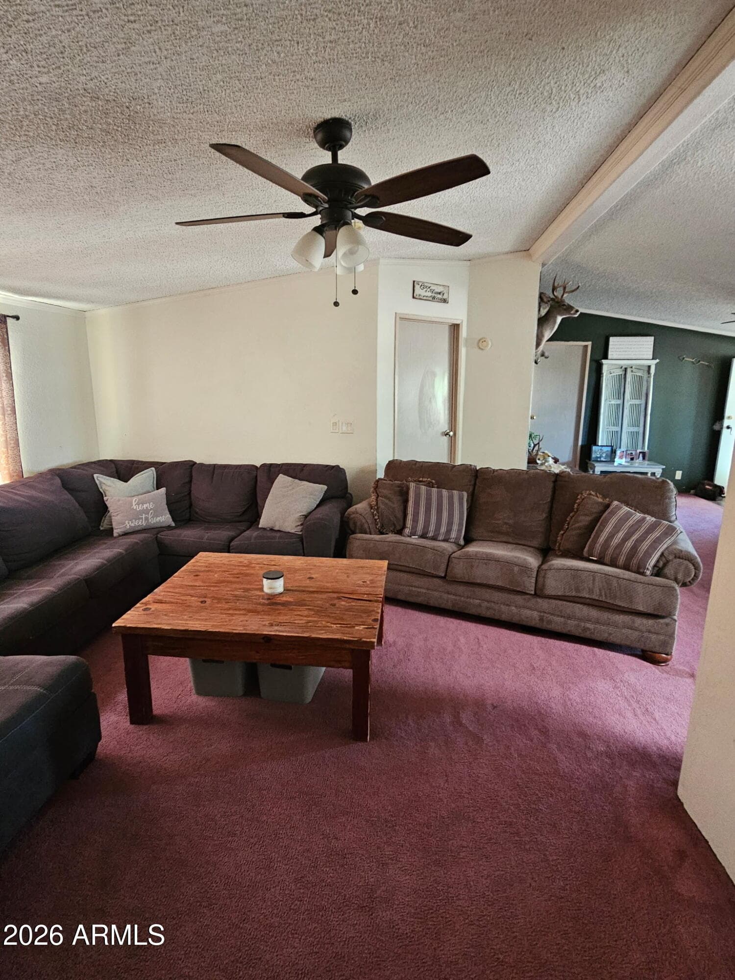 10194 N MORMON Road, Elfrida, AZ 85610 — photo 17 of 49