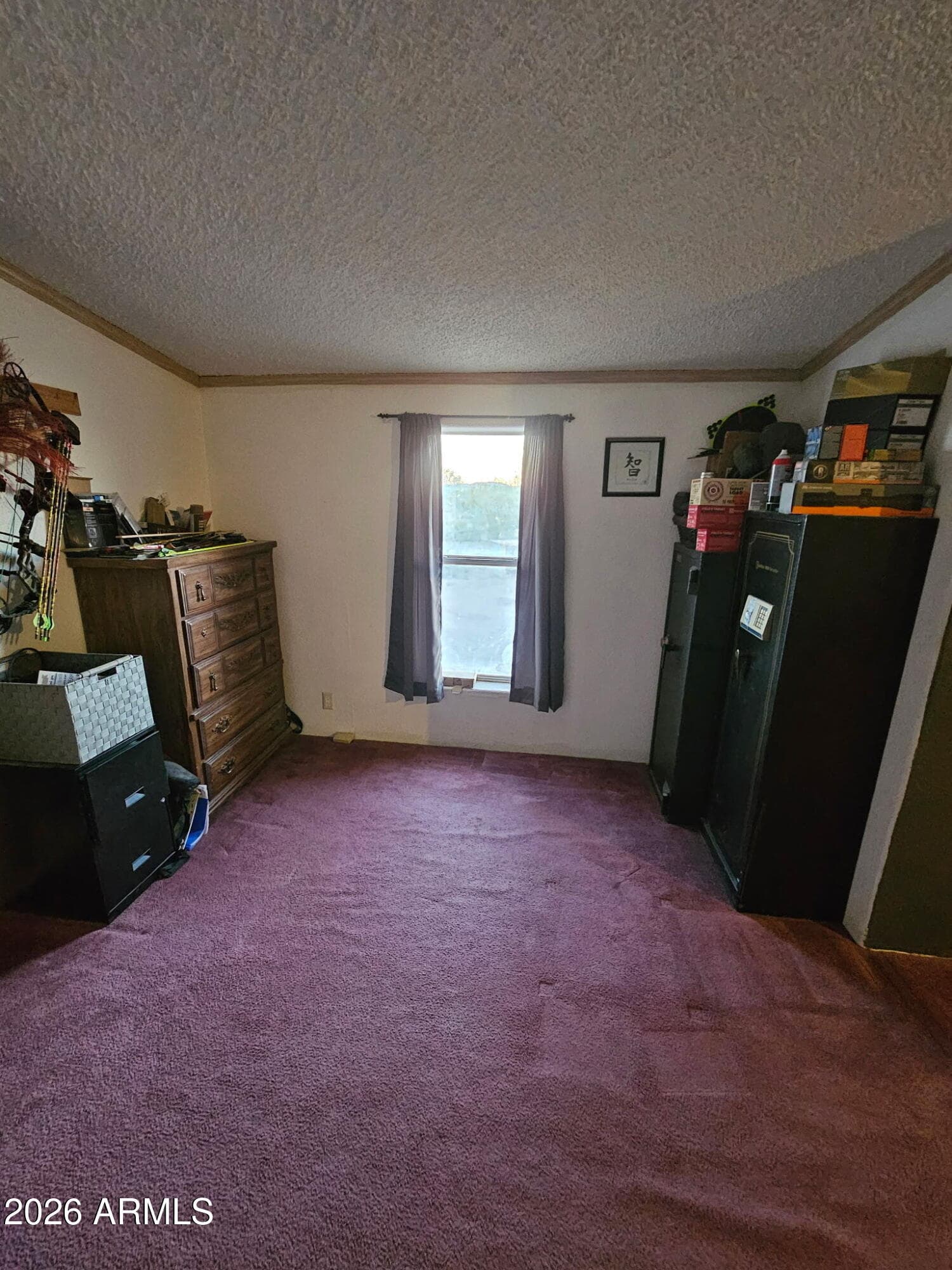 10194 N MORMON Road, Elfrida, AZ 85610 — photo 40 of 49