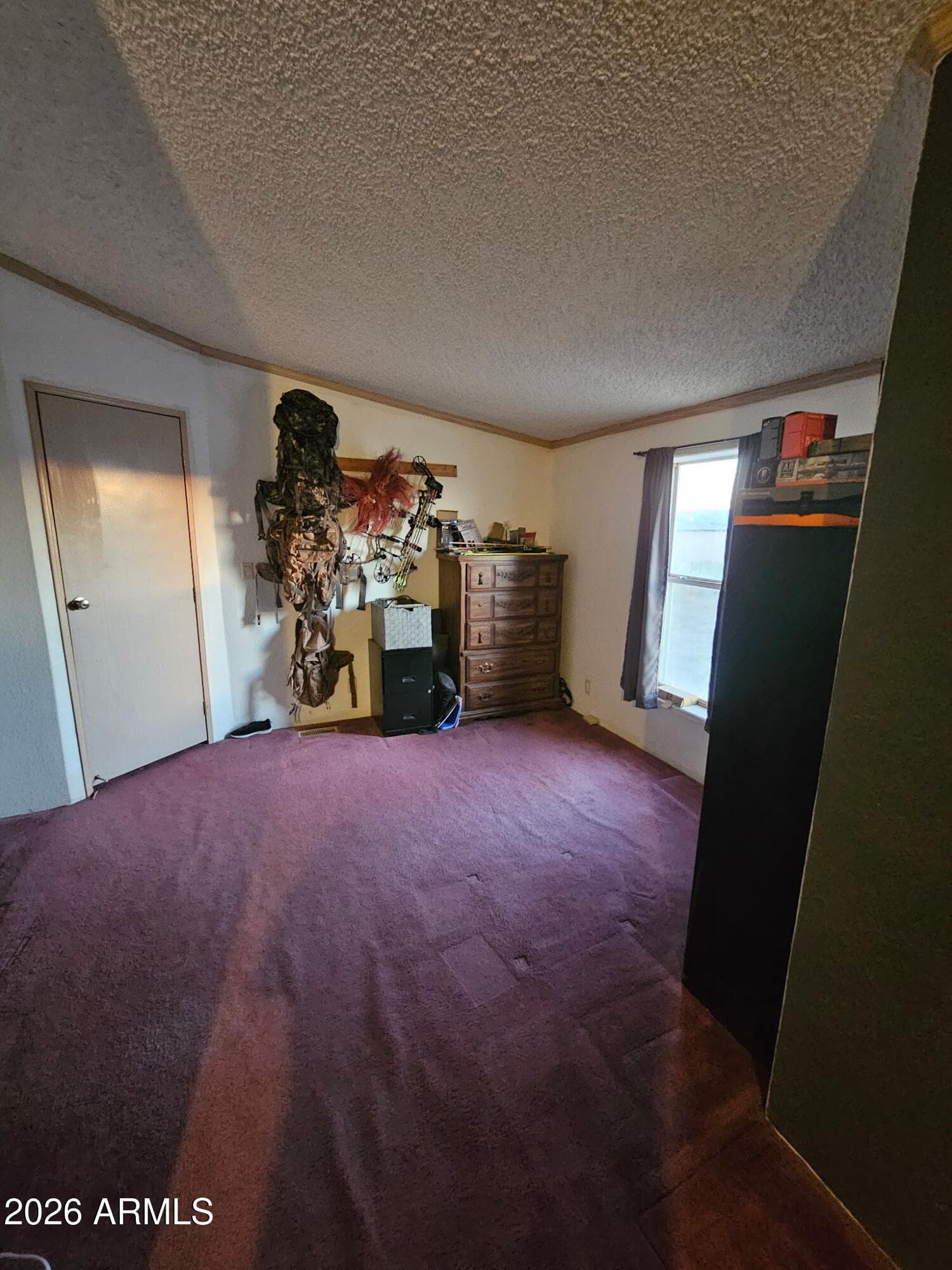 10194 N MORMON Road, Elfrida, AZ 85610 — photo 42 of 49
