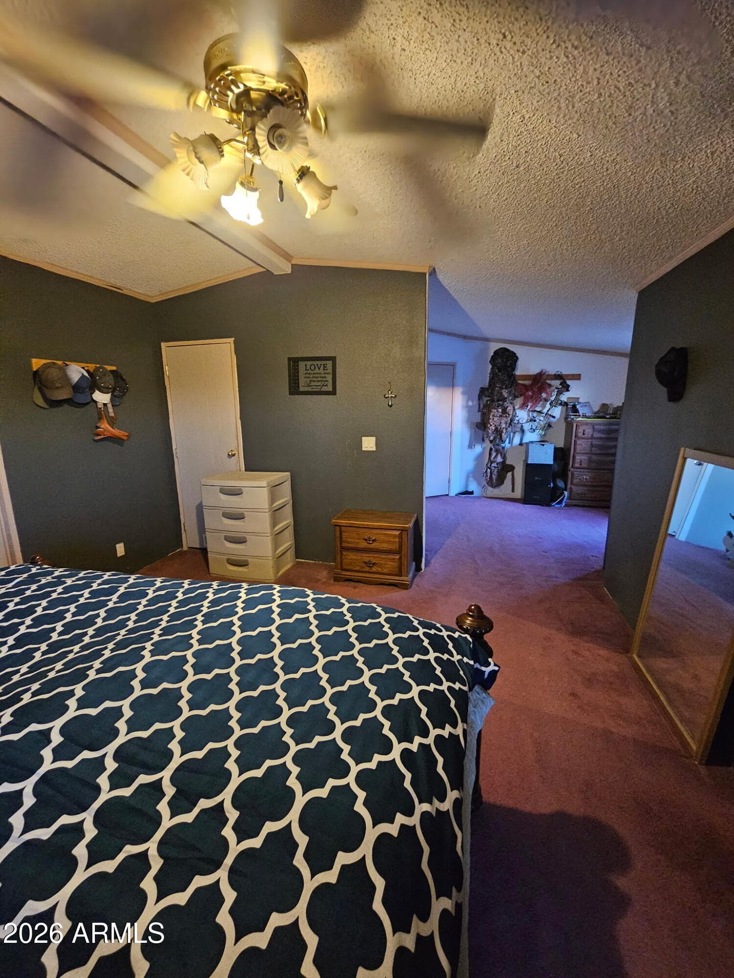 10194 N MORMON Road, Elfrida, AZ 85610 — photo 25 of 49