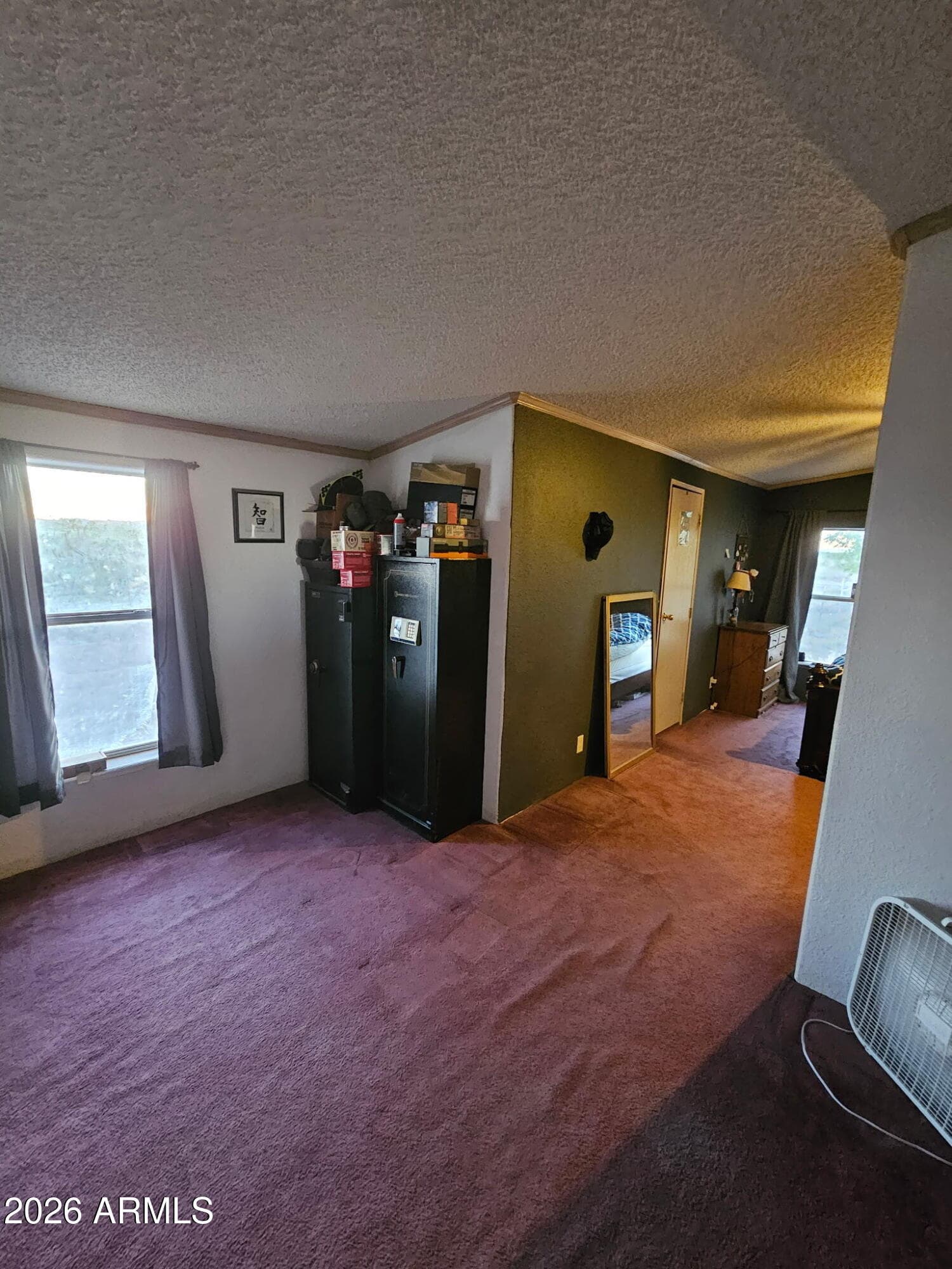 10194 N MORMON Road, Elfrida, AZ 85610 — photo 13 of 49