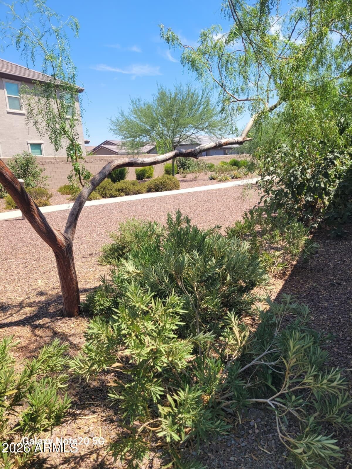 9207 W SELLS Drive, Phoenix, AZ 85037 — photo 15 of 23