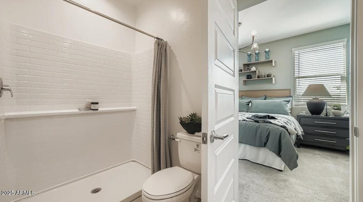 30235 W WILD HAZEL Drive, Buckeye, AZ 85396 — photo 12 of 18