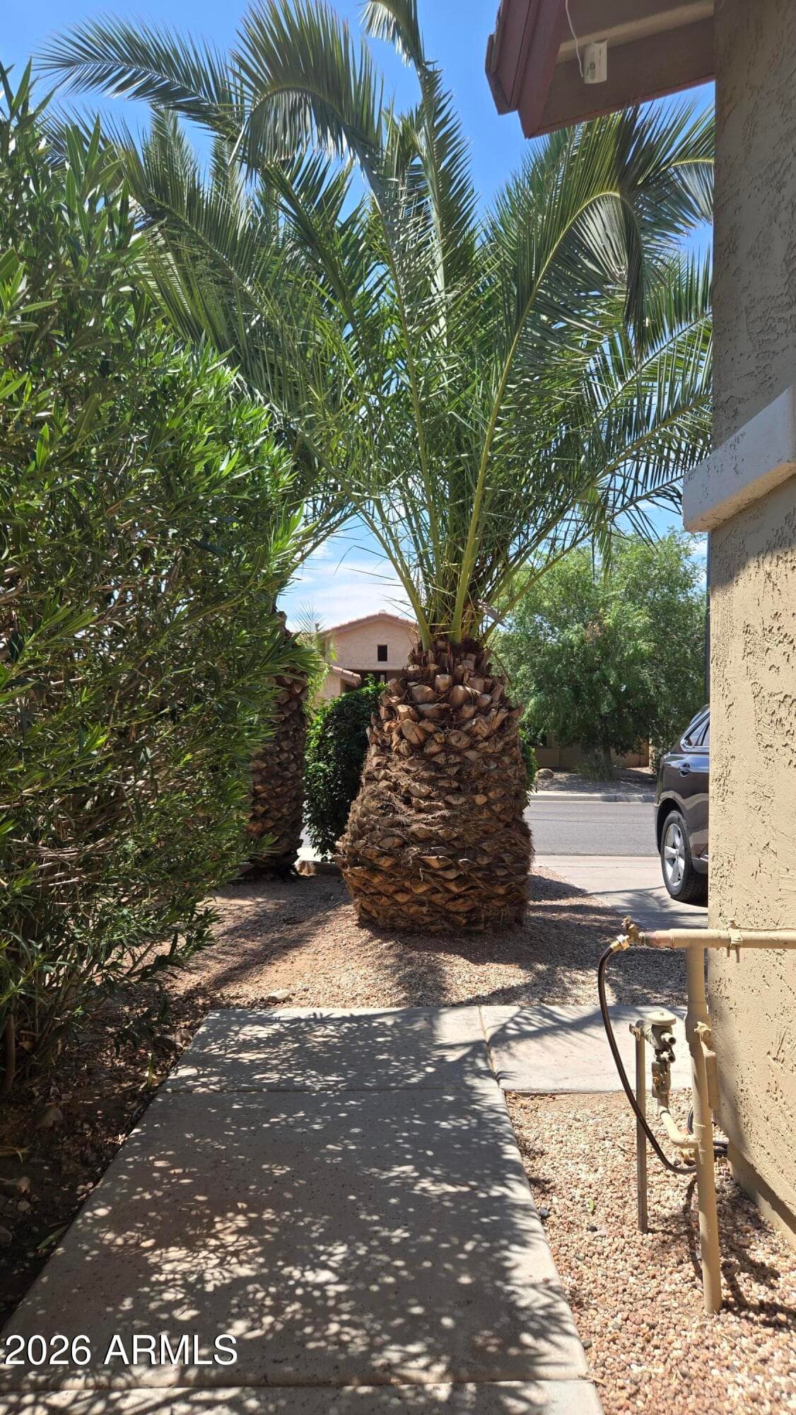 534 W REMINGTON Drive, Chandler, AZ 85286 — photo 66 of 85