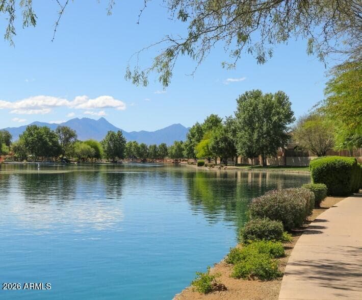 304 E WESTERN HEMLOCK Place, Sahuarita, AZ 85629 — photo 43 of 50