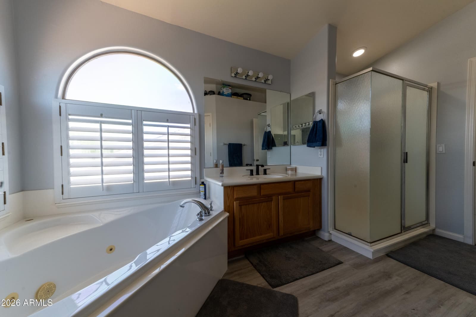 11046 E DECATUR Street, Mesa, AZ 85207 — photo 36 of 45