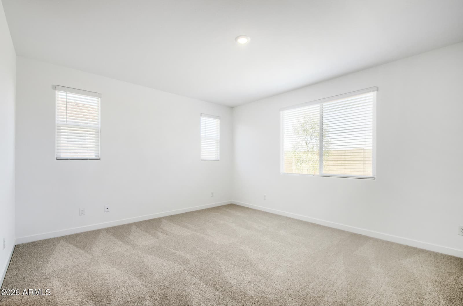25456 N 176TH Avenue, Surprise, AZ 85387 — photo 9 of 20