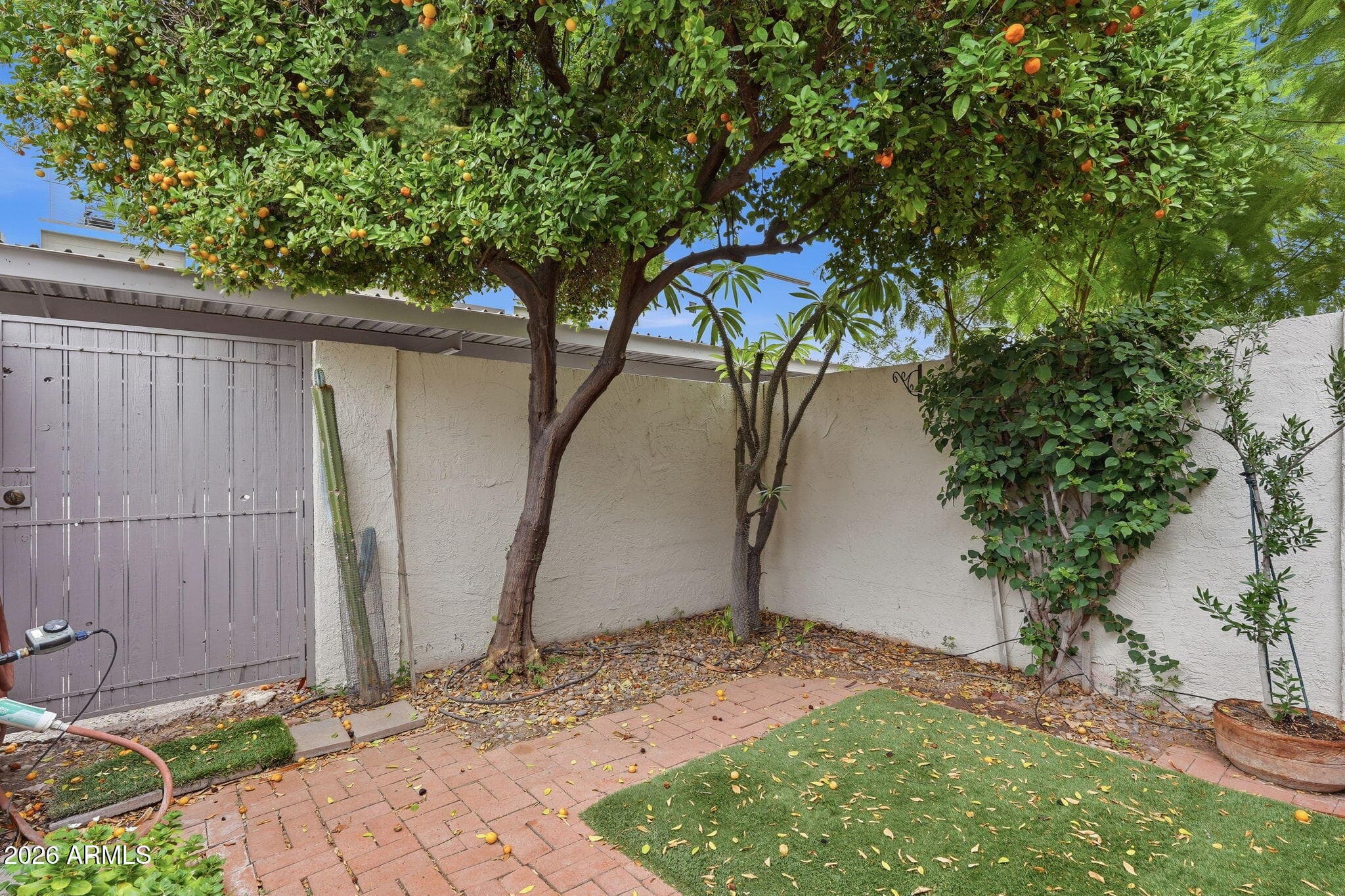 4006 N 78TH Street, Scottsdale, AZ 85251 — photo 28 of 32