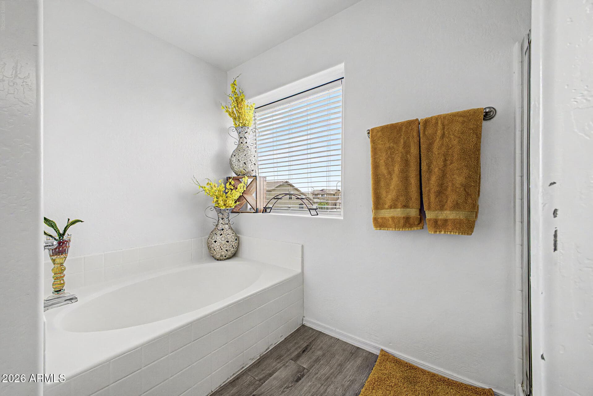 9205 W WILLIAMS Street, Tolleson, AZ 85353 — photo 24 of 40