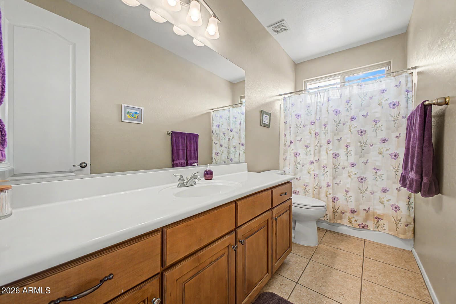 10746 N 146TH Avenue, Surprise, AZ 85379 — photo 49 of 96