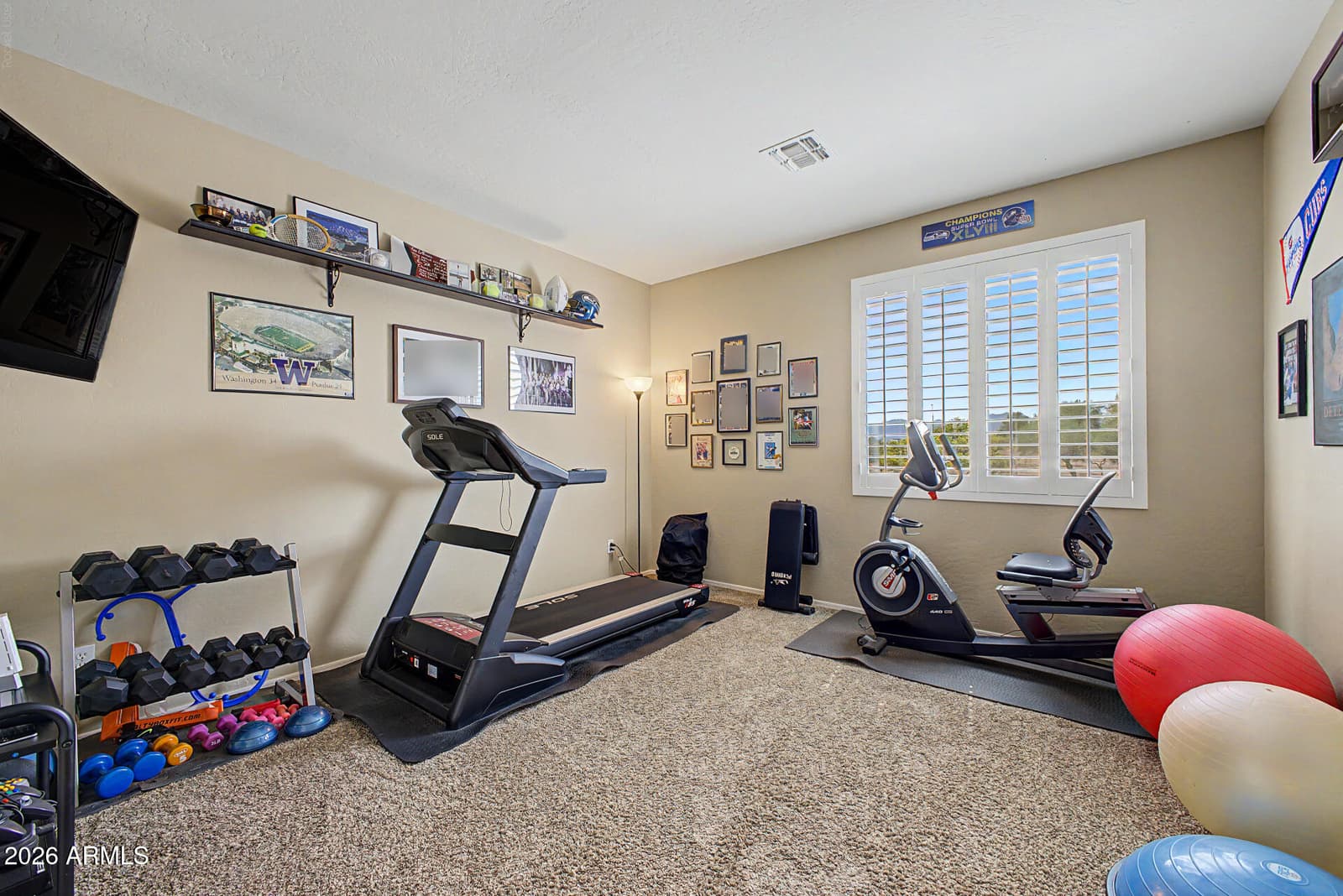 10746 N 146TH Avenue, Surprise, AZ 85379 — photo 50 of 96