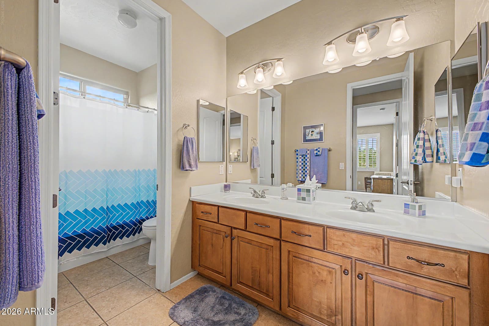 10746 N 146TH Avenue, Surprise, AZ 85379 — photo 54 of 96