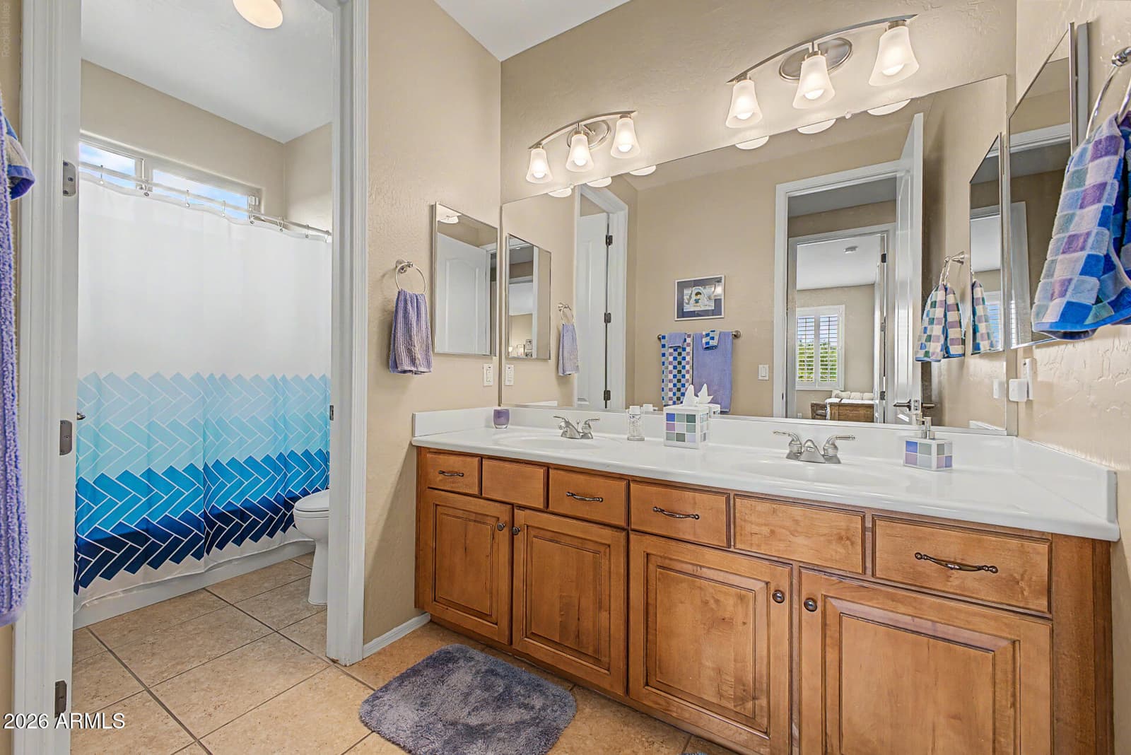 10746 N 146TH Avenue, Surprise, AZ 85379 — photo 55 of 96