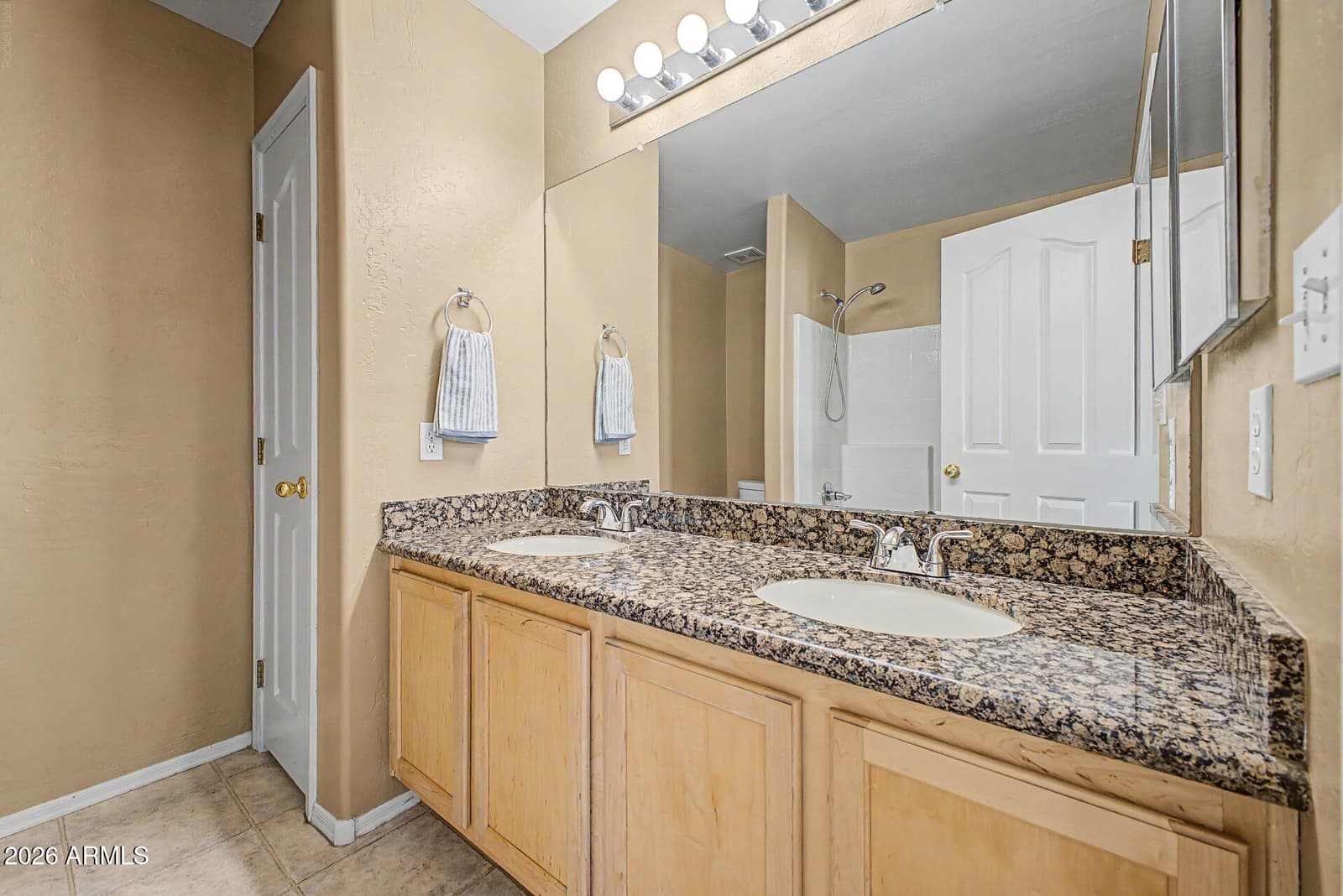 436 W GARY Avenue, Gilbert, AZ 85233 — photo 21 of 33