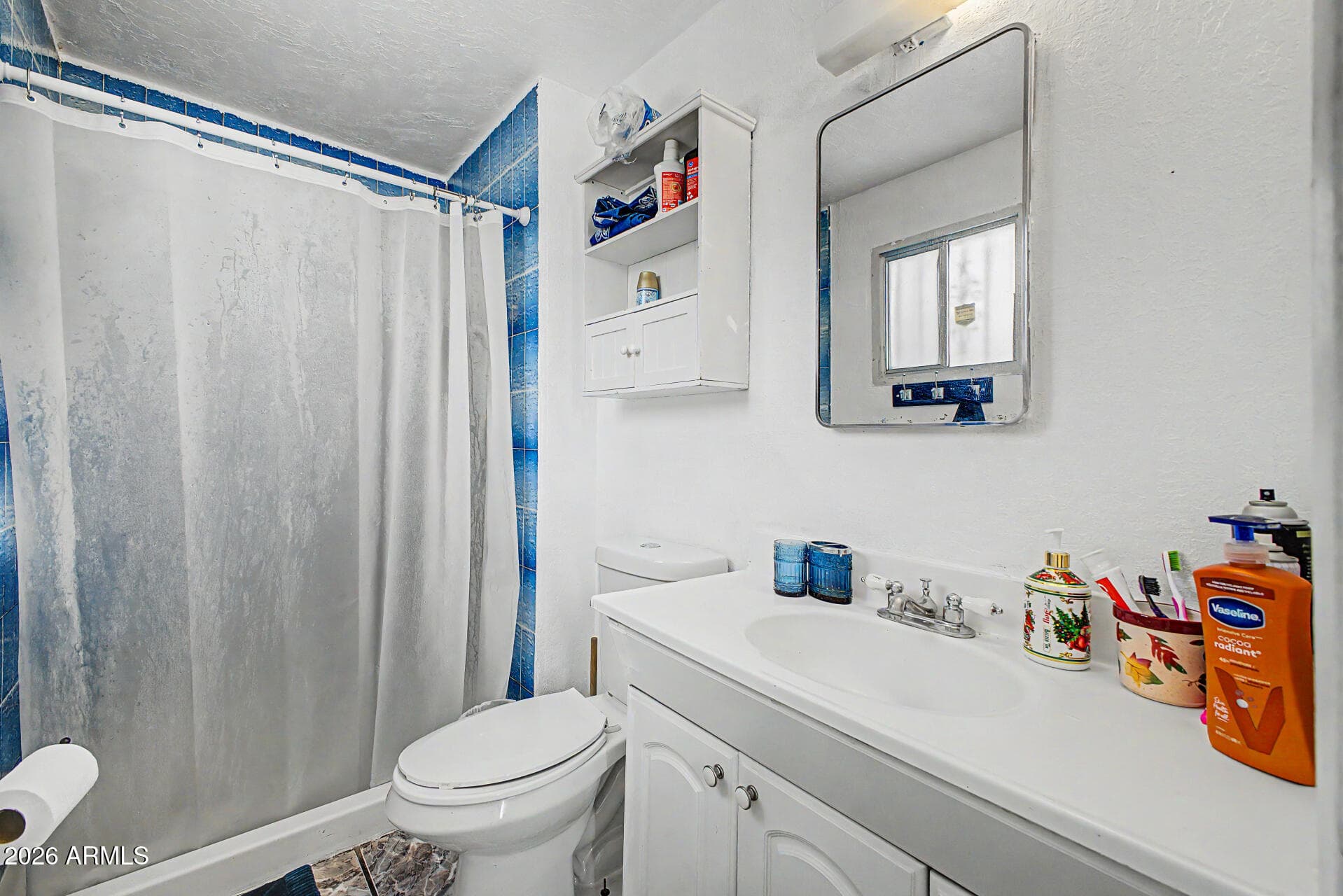 5829 W CORONADO Road, Phoenix, AZ 85035 — photo 10 of 19