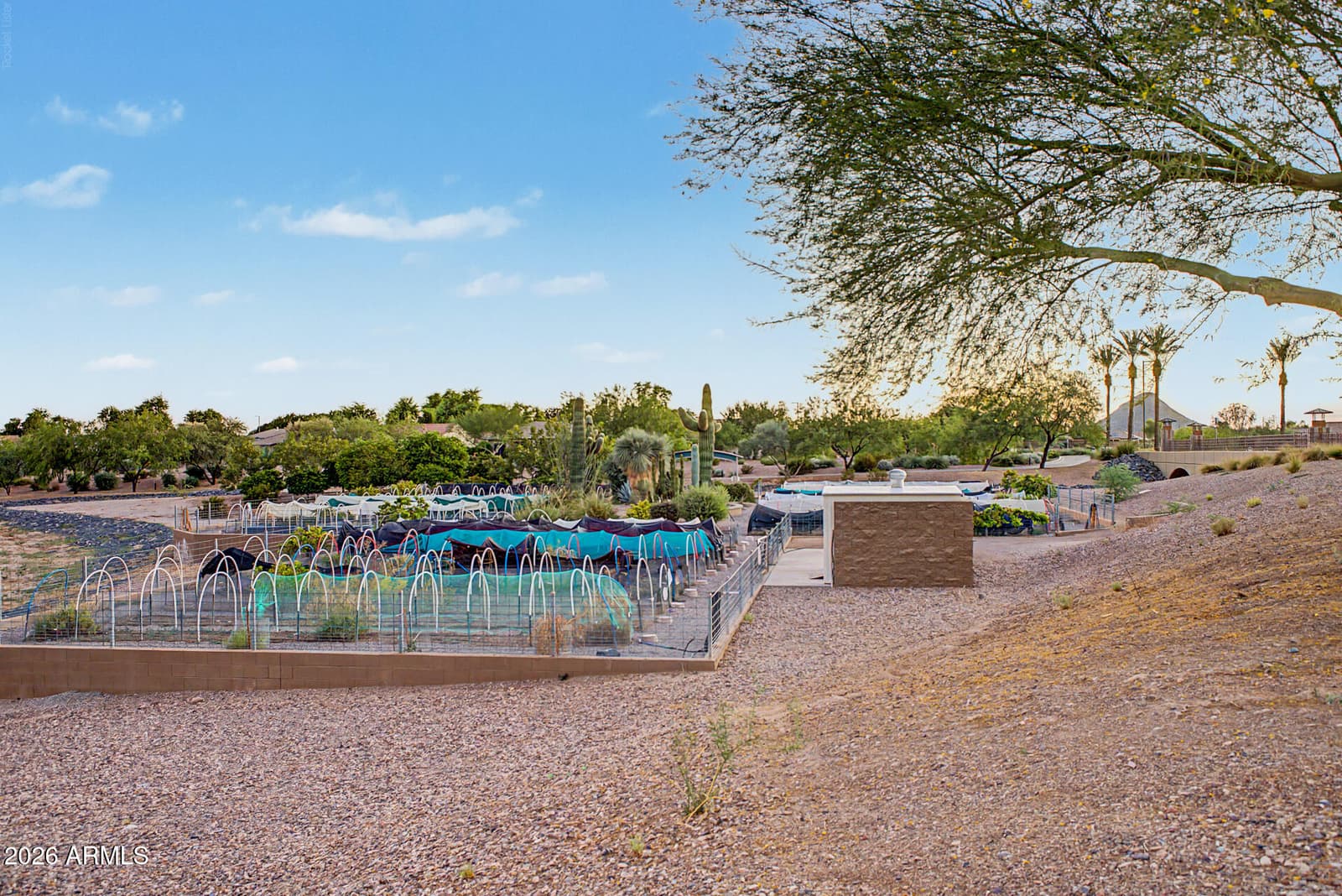 4519 N PRESIDENTIAL Drive, Florence, AZ 85132 — photo 92 of 92