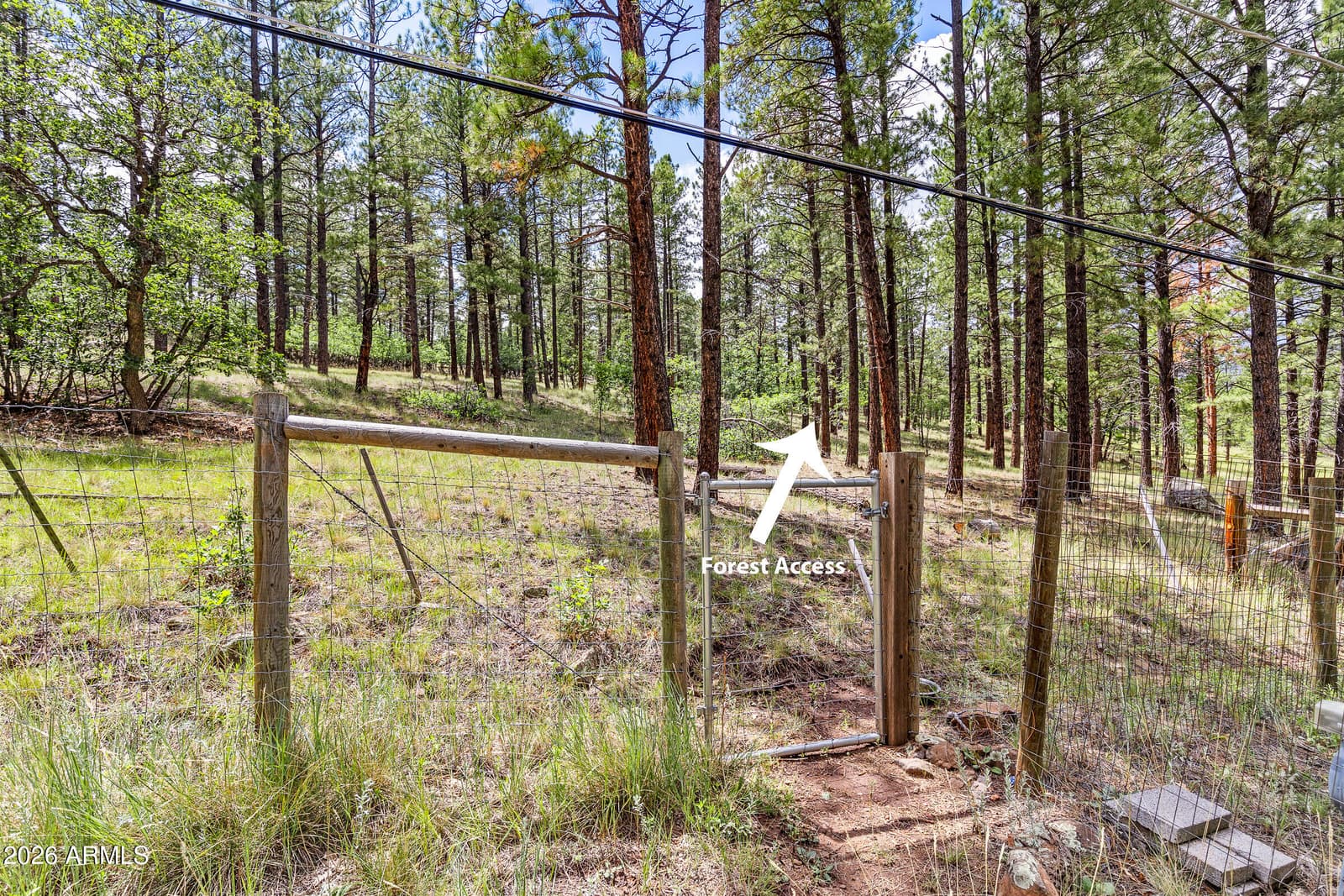 3919 N Paradise Road, Flagstaff, AZ 86004 — photo 41 of 44