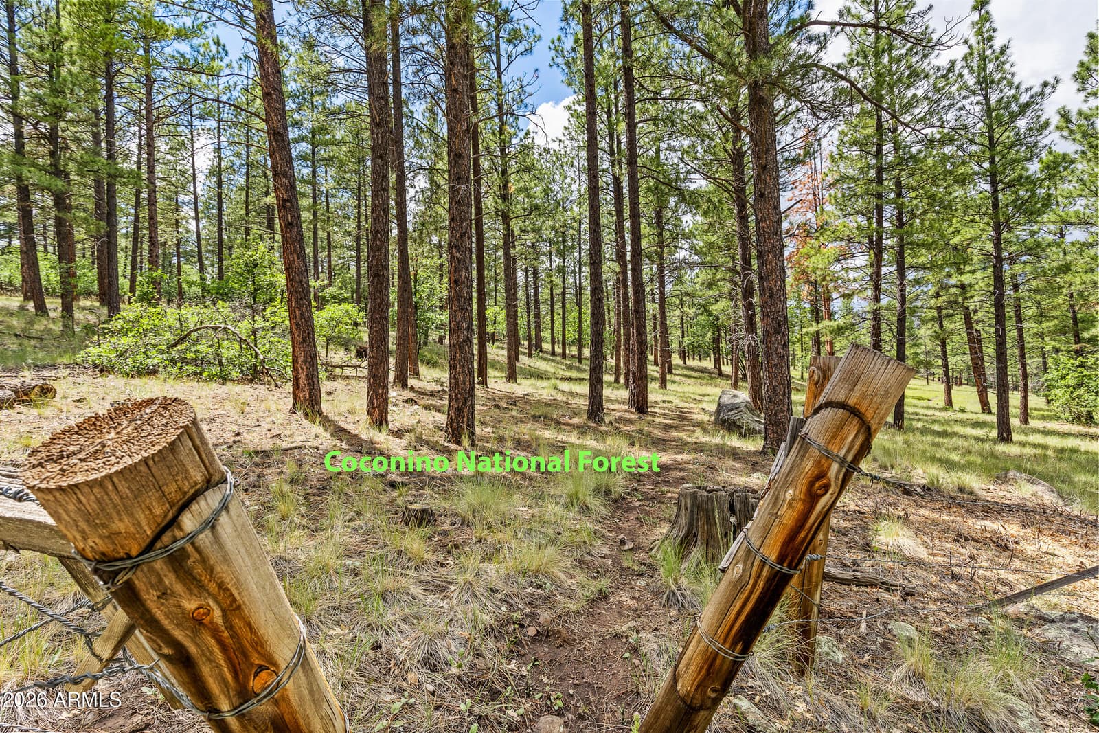 3919 N Paradise Road, Flagstaff, AZ 86004 — photo 42 of 44