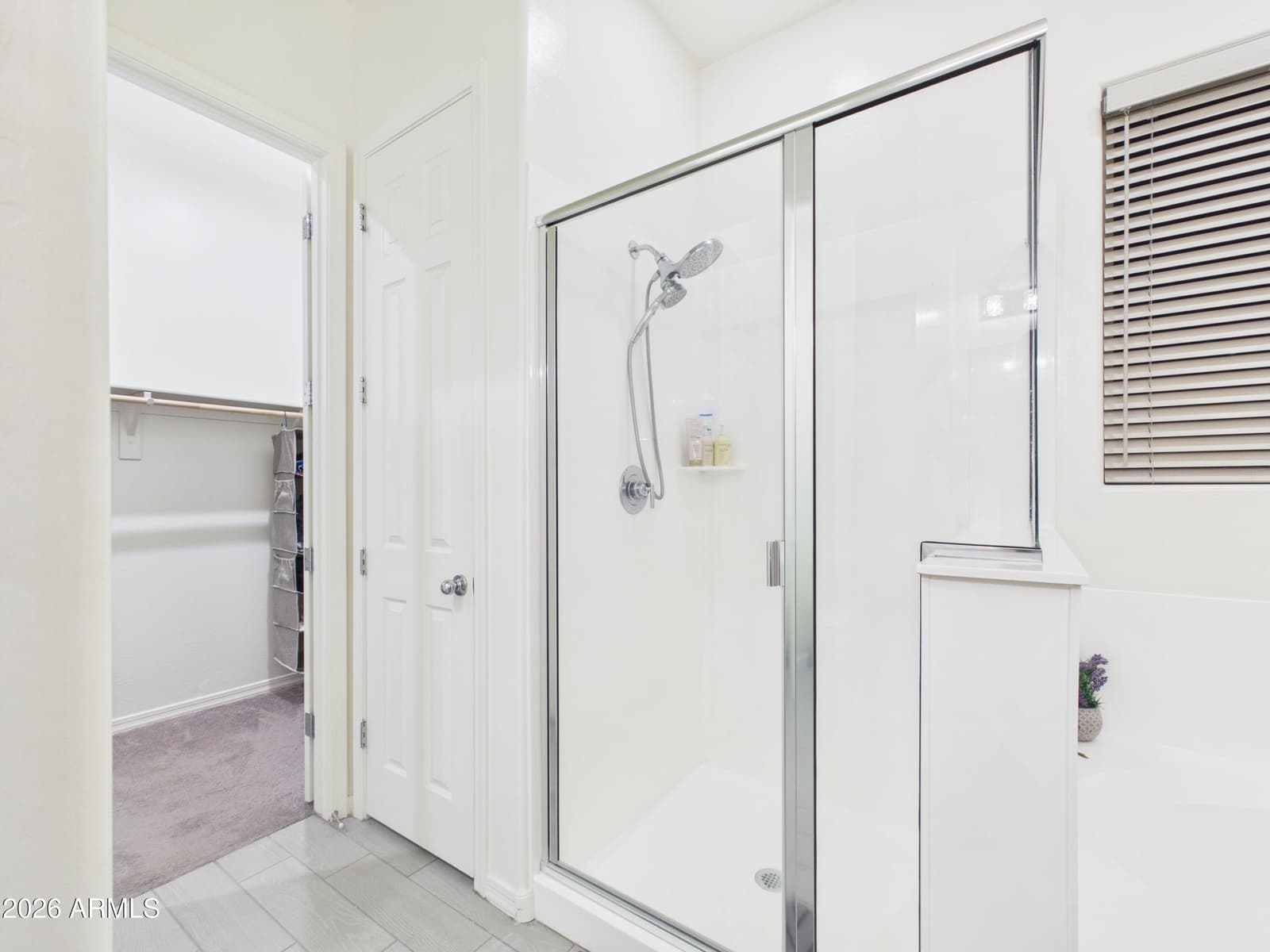14472 W Georgia Drive, Surprise, AZ 85379 — photo 46 of 52