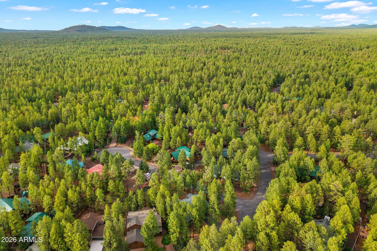 6378 Christmas Tree Circle, Pinetop, AZ 85935 — photo 48 of 72