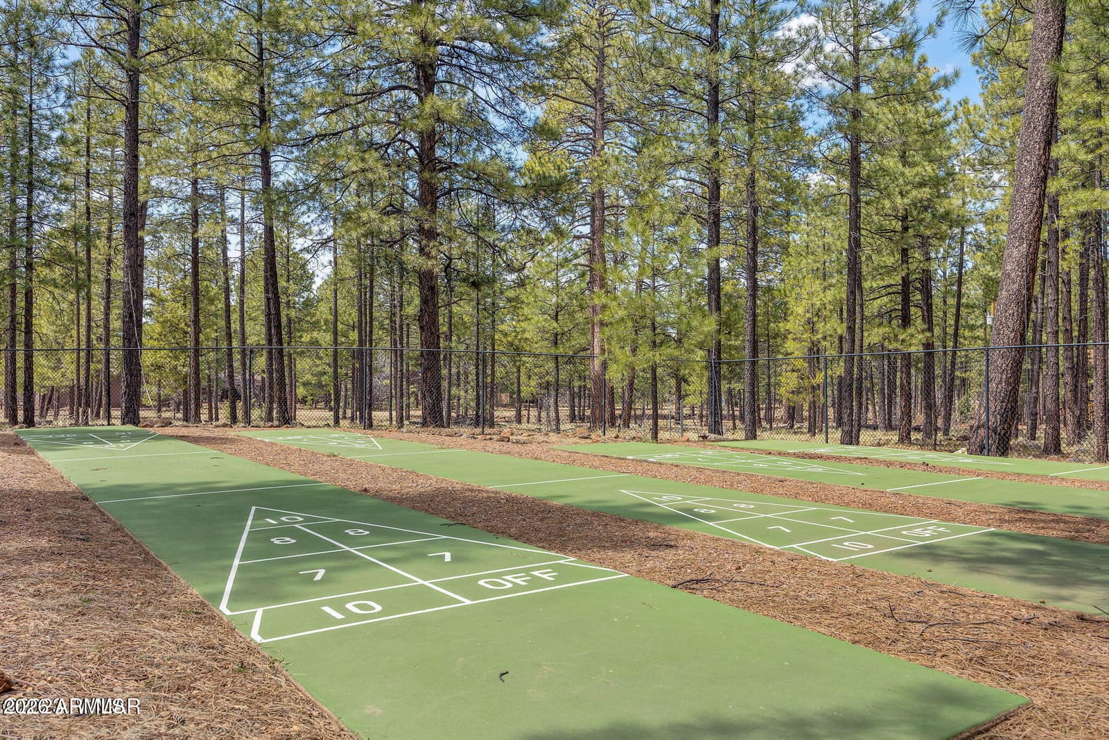 6378 Christmas Tree Circle, Pinetop, AZ 85935 — photo 63 of 72