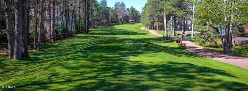 6378 Christmas Tree Circle, Pinetop, AZ 85935 — photo 71 of 72