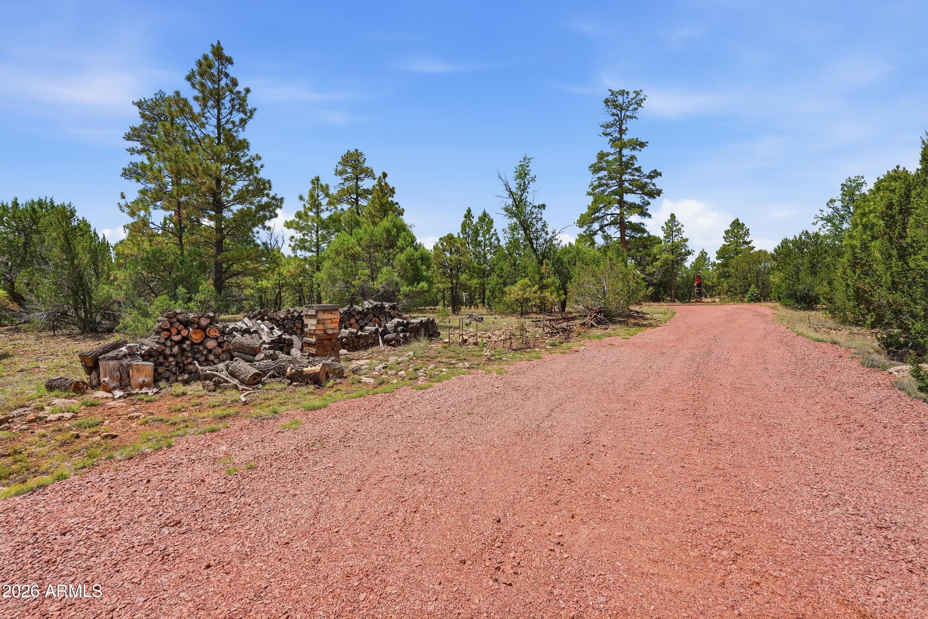 6163 MALLARD POND Drive, Happy Jack, AZ 86024 — photo 15 of 56