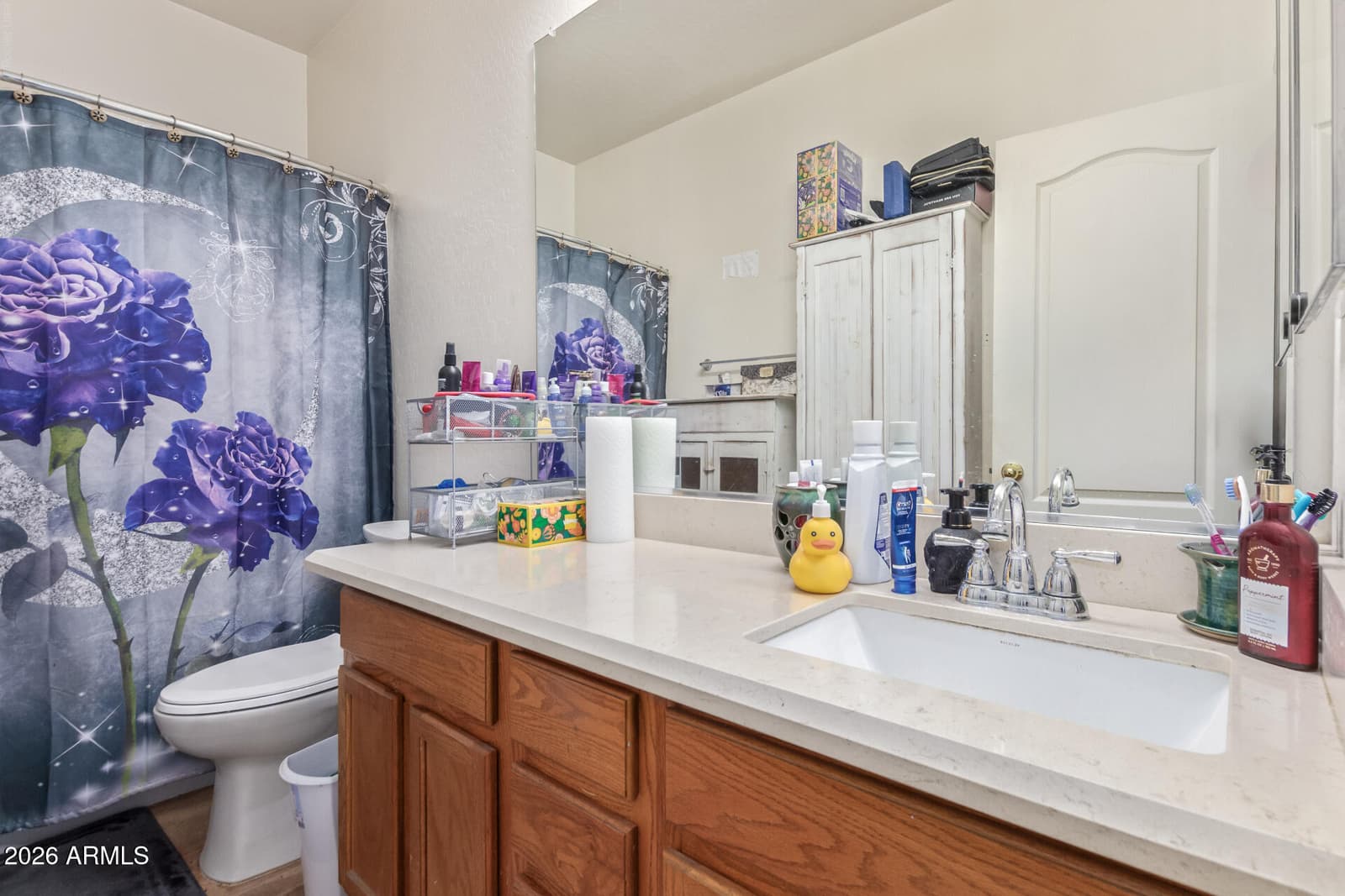 839 E LEO Place, Chandler, AZ 85249 — photo 15 of 21