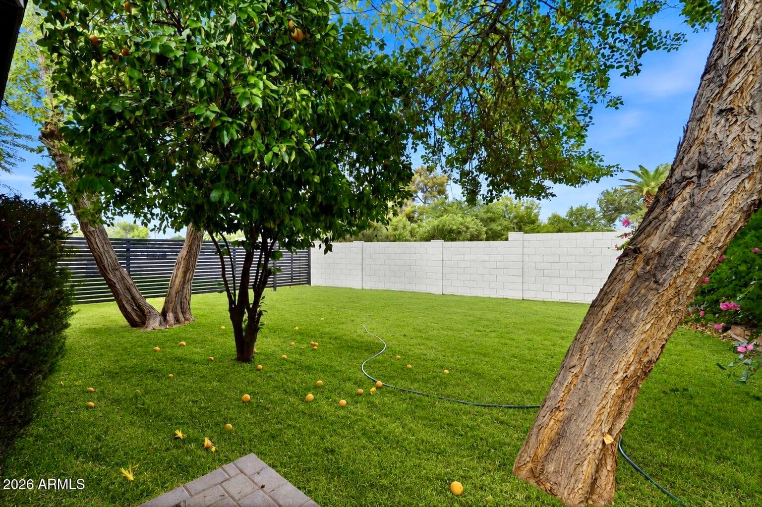 524 W HARMONT Drive, Phoenix, AZ 85021 — photo 39 of 46
