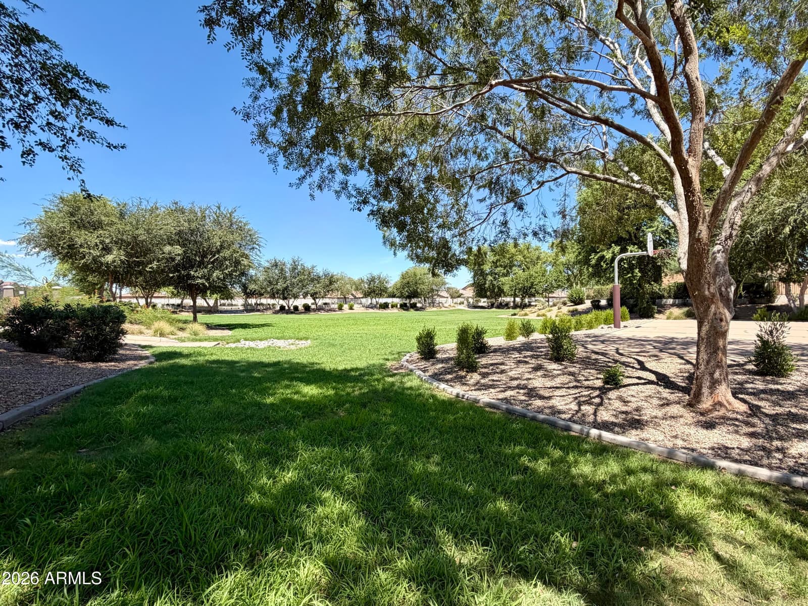 2217 W ALICIA Drive, Phoenix, AZ 85041 — photo 40 of 47