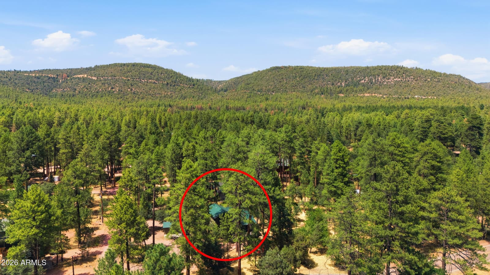 5111 N FOSSIL CREEK Lane, Pine, AZ 85544 — photo 5 of 38