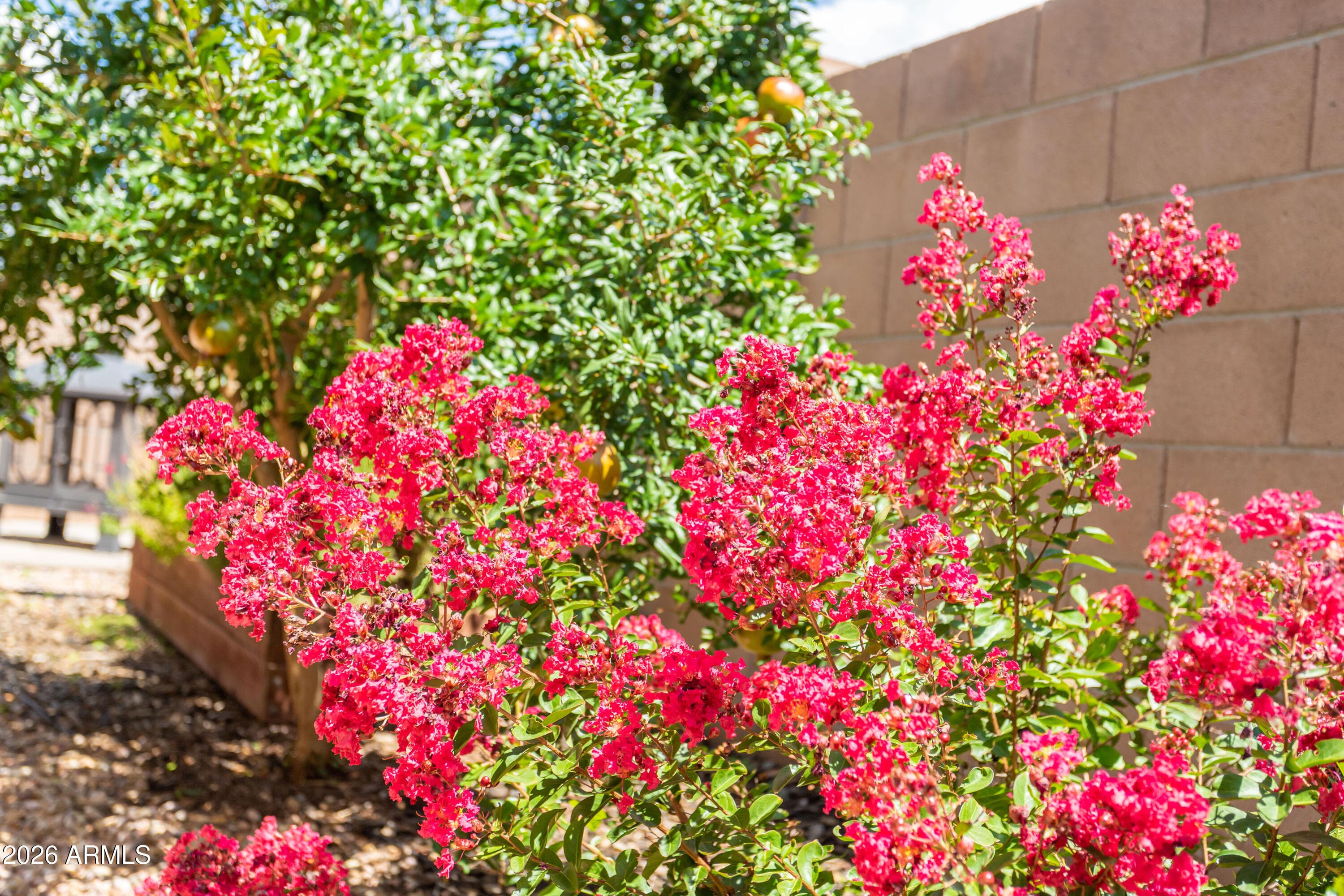 3595 RHAPSODY Drive, Sierra Vista, AZ 85650 — photo 68 of 81