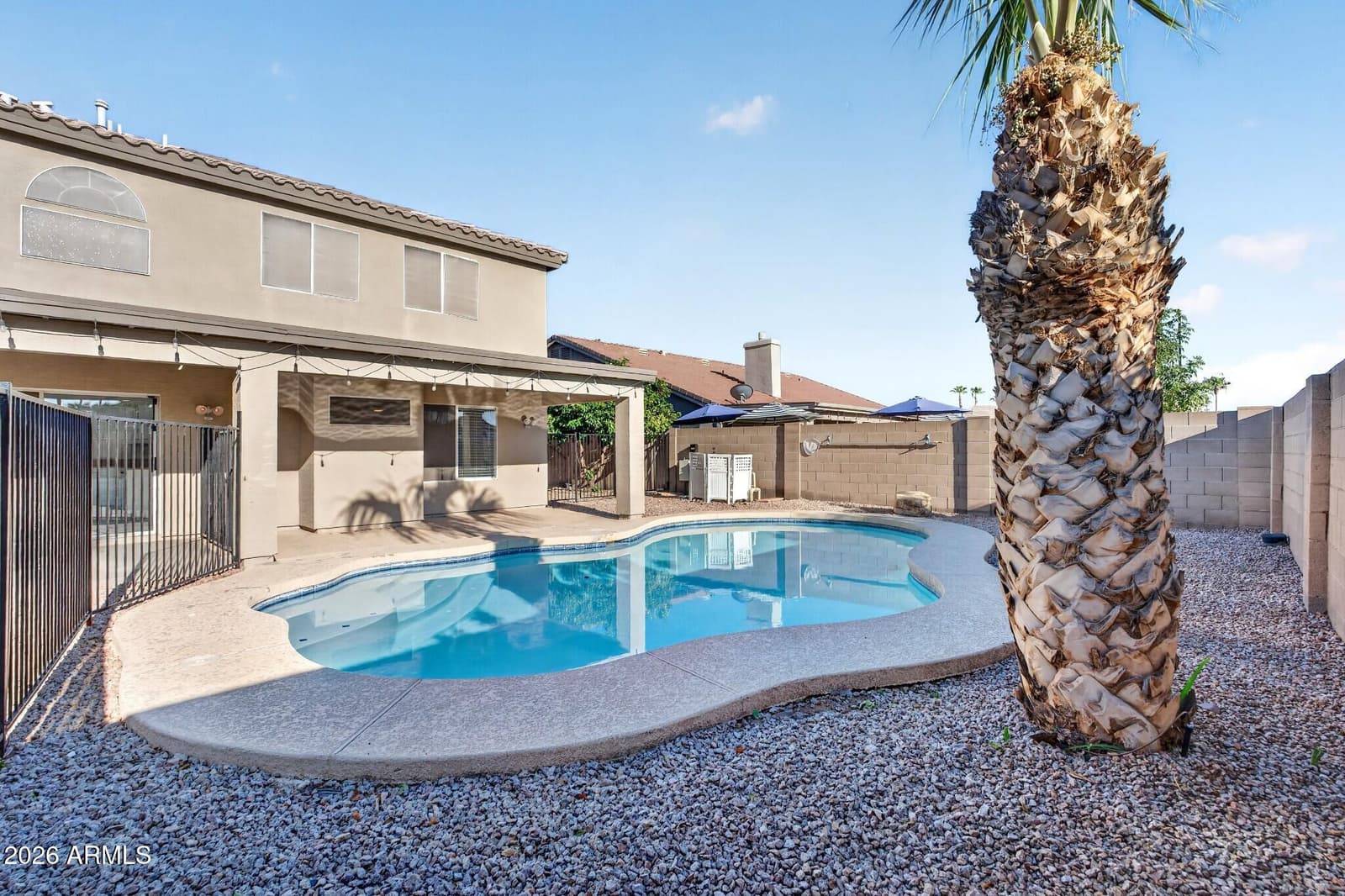 716 S CARDINAL Street, Gilbert, AZ 85296 — photo 50 of 62