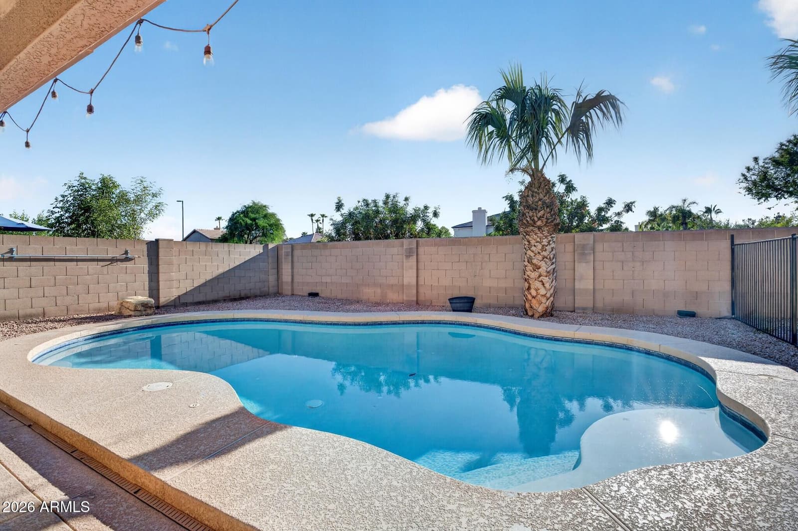 716 S CARDINAL Street, Gilbert, AZ 85296 — photo 53 of 62