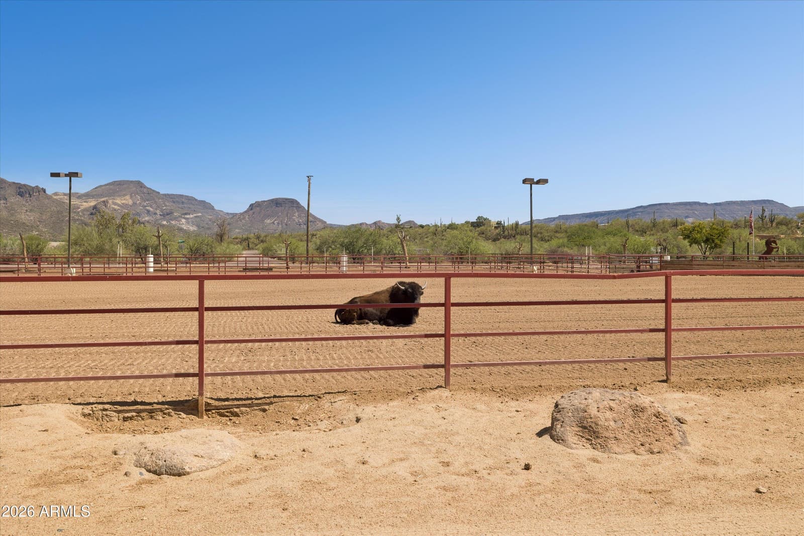5315 E ROCKAWAY HILLS Drive, Cave Creek, AZ 85331 — photo 58 of 67