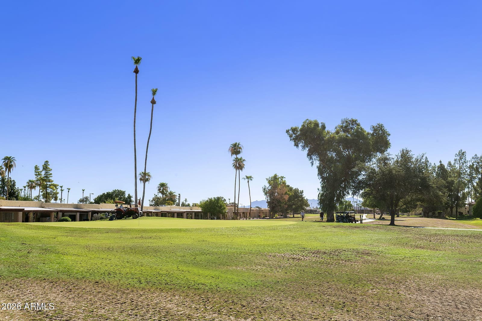 607 S DESERT FLOWER Drive, Mesa, AZ 85208 — photo 23 of 41