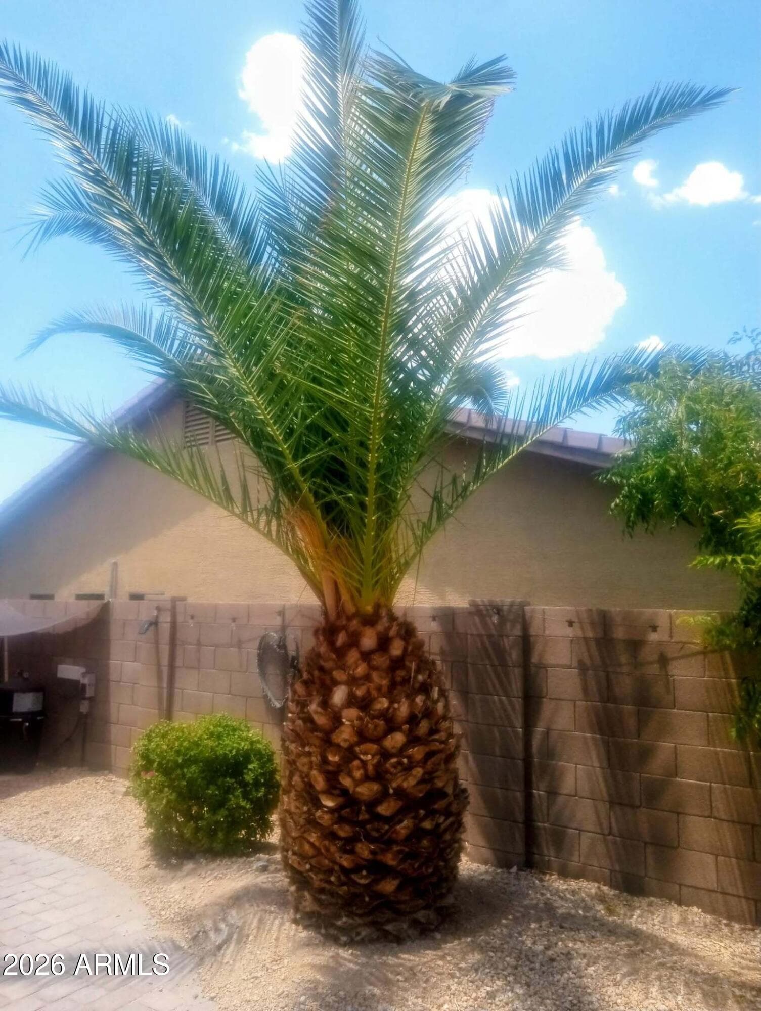 11490 S MORNINGSIDE Drive, Goodyear, AZ 85338 — photo 10 of 28